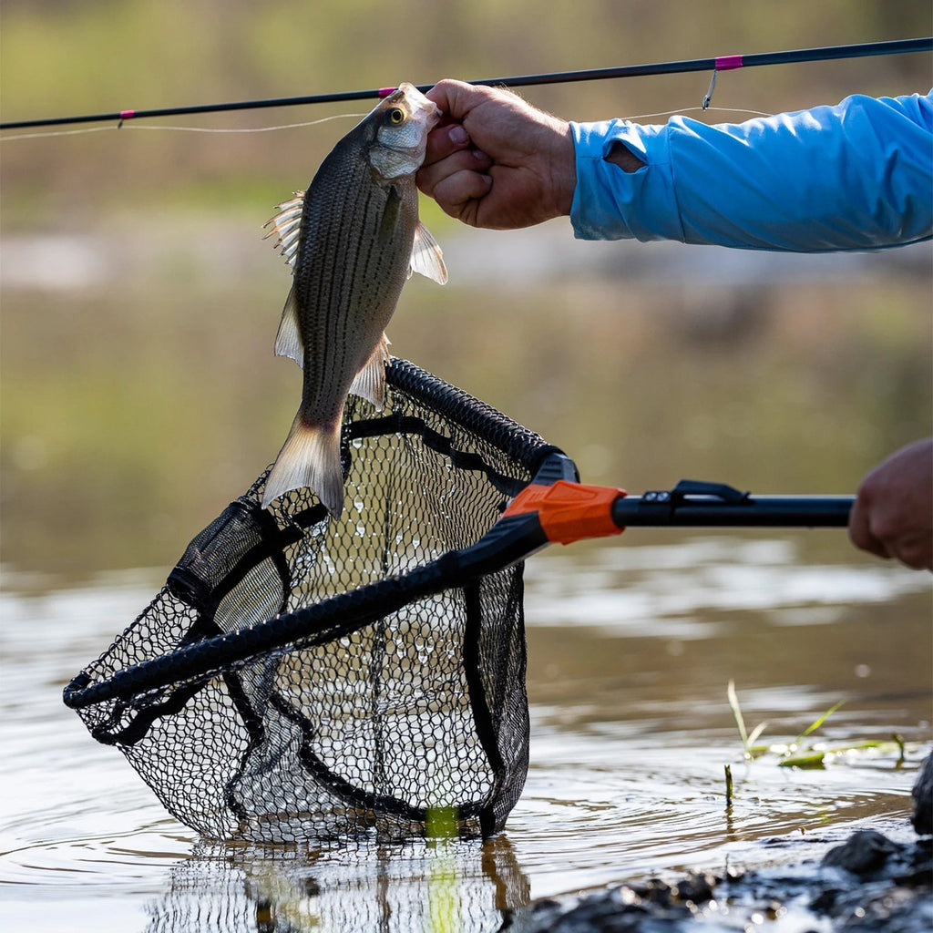 Collapsible Angling Landing Net With Integrated Length Scale And Lightweight Build Collapsible Angling Landing Net 2
