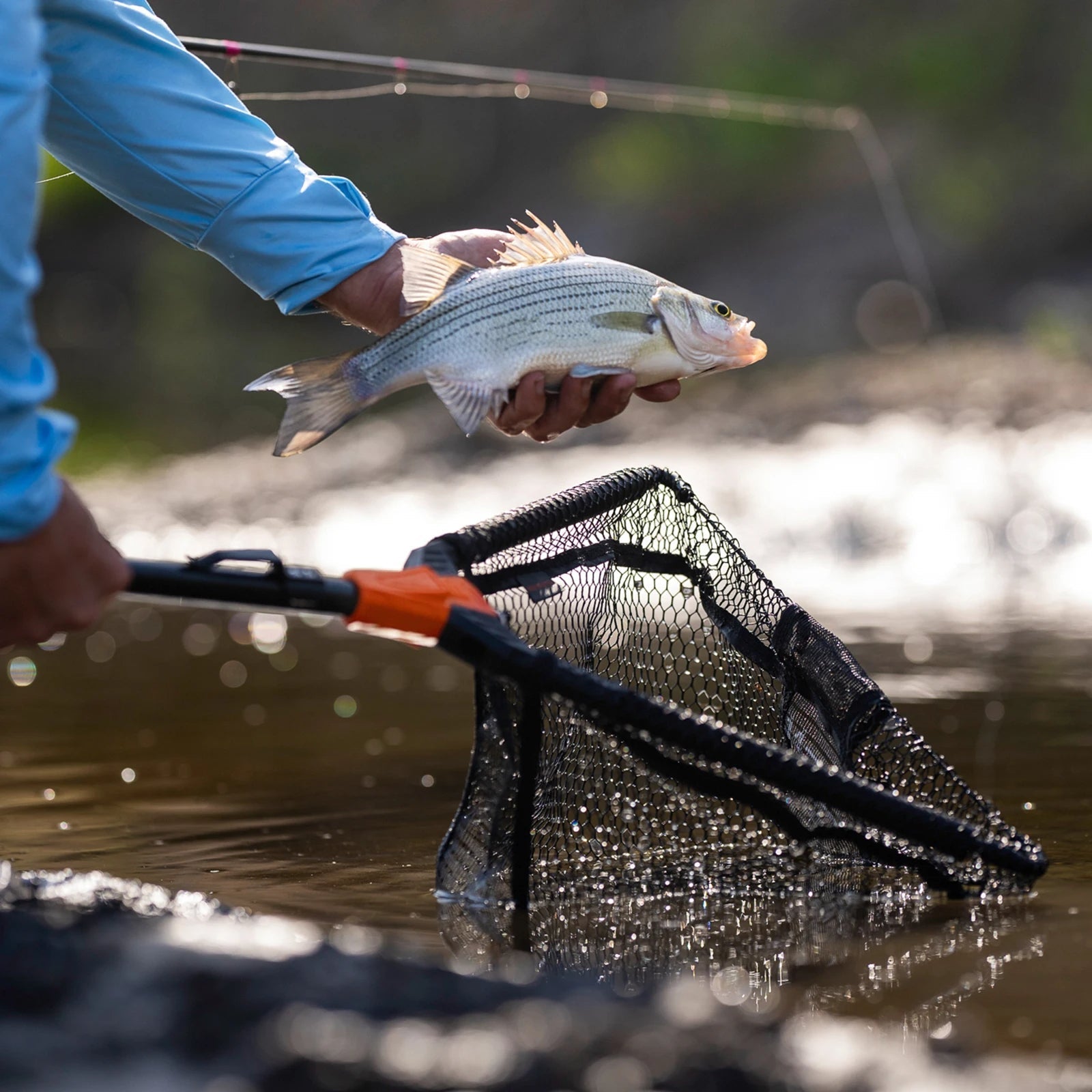 Collapsible Angling Landing Net With Integrated Length Scale And Lightweight Build Collapsible Angling Landing Net 3